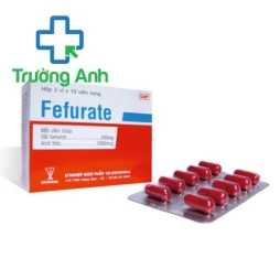 Fefurate Armephaco - Phòng ngừa và điều trị thiếu máu do thiếu sắt