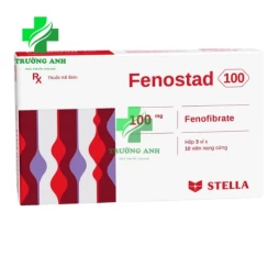 Fenostad 100 Stellapharm - Thuốc điều trị tăng cholesterol máu túyp II