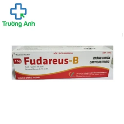 Fudareus-B - Điều trị bệnh chàm (eczema) hiệu quả