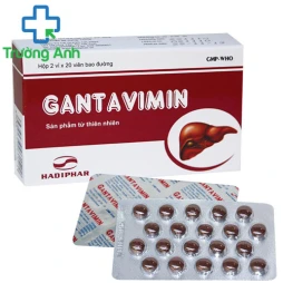 Gantavimin - Thuốc điều trị viêm gan siêu vi B, dị ứng do gan