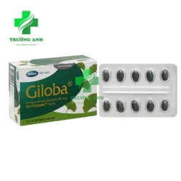 Giloba 40mg Mega We care - Hỗ trợ điều trị suy tuần hoàn não