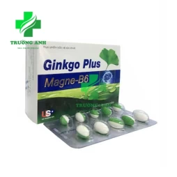 Ginkgo Plus Magne-B6 USP - Giúp tăng cường tuần hoàn não hiệu quả