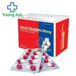 Glucosamin 500mg Hà Tây - Hỗ trợ điều trị các bệnh xương khớp