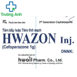 Hwazon Inj - Thuốc điều trị nhiễm trùng đường hô hấp, tiêu hóa
