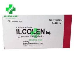 Ilcolen 500mg/2ml - Thuốc điều trị thiếu máu não hiệu quả của Hàn Quốc
