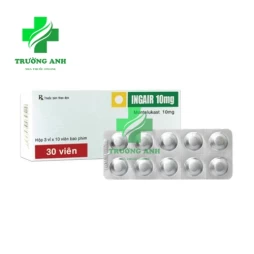 Ingair 10mg - Hỗ trợ điều trị cho các trường hợp hen phế quản, viêm mũi dị ứng
