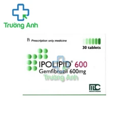 Ipolipid 600 Medochemie - Điều trị chứng tăng lipid máu