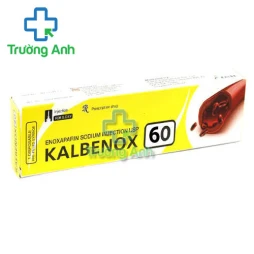 Kalbenox 60mg/0,6ml - Thuốc điều trị huyết khối tĩnh mạch