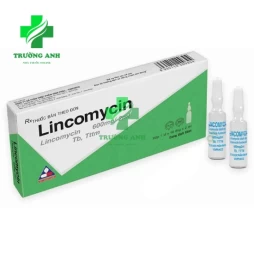 Lincomycin Vinphaco 600mg/2ml - Điều trị hen phế quản