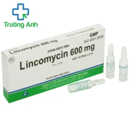 Lincomycin Vinphaco 600mg/2ml - Điều trị hen phế quản