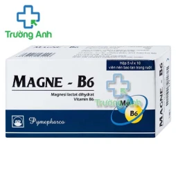 Magne-B6 Pymepharco - Phòng ngừa và điều trị thiếu magnesi
