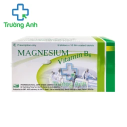 Magnesium-Vitamin B6 F.T.Pharma - Điều trị bệnh thiếu hụt magnesi