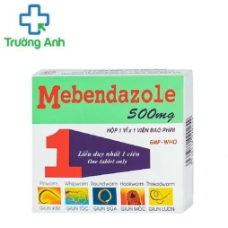 Mebendazole 500mg Mekophar - Điều trị hiệu quả khi bị nhiễm giun, sán