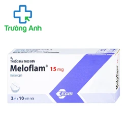 Meloflam 15mg - Thuốc điều trị viêm xương khớp của Egis