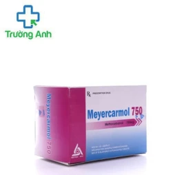 Meyercarmol 750 - Giúp giảm đau trong các trường hợp đau xương khớp