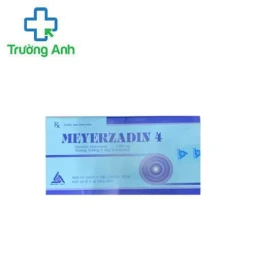 Meyerzadin 4 - Thuốc điều trị bệnh xương khớp hiệu quả