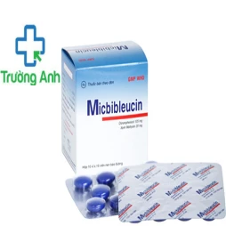 Micbibleucin Bidiphar - Thuốc điều trị những nhiễm khuẩn nặng