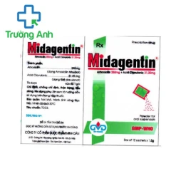 Midagentin 250/31,25 - Thuốc điều trị viêm phế quản, viêm xoang và viêm phổi