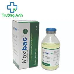 Moxibac 400 IV Infusion - Thuốc điều trị nhiễm khuẩn hiệu quả