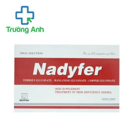 Nadyfer - Thuốc điều trị thiếu máu của Nadyphar