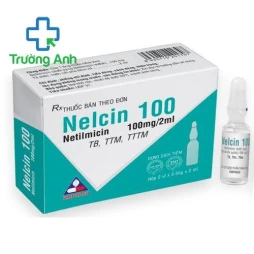 Nelcin 100 Vinphaco - Thuốc điều trị nhiễm khuẩn hiệu quả