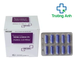 Nergamdicin - Thuốc điều trị nhiễm khuẩn đường tiết niệu hiệu quả