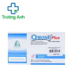 Otibone 500mg Plus - Thuốc điều trị thoái hóa khớp gối của Bos Ton