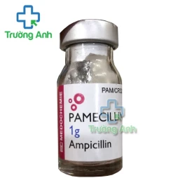 Pamecillin 1g Medochemie - Điều trị nhiễm trùng hiệu quả