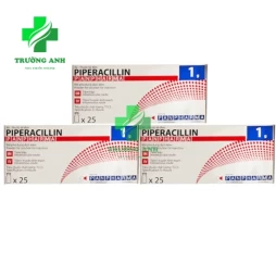 Piperacillin Panpharma 1g - Thuốc điều trị nhiễm khuẩn đường hô hấp 