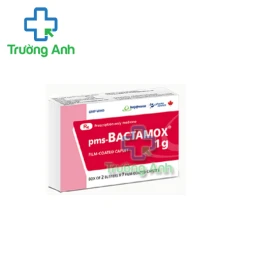 Pms-Bactamox 1g - Thuốc điều trị nhiễm khuẩn của Imexpharm