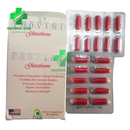 Provini - Cải thiện khả năng tập trung của não hiệu quả