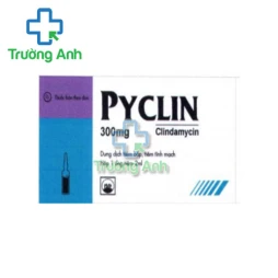 Pyclin 300mg Pymepharco (tiêm) - Thuốc điều trị nhiễm khuẩn