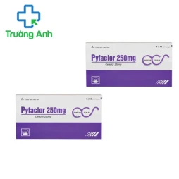 Pyfaclor 250mg - Thuốc điều trị nhiễm khuẩn đường hô hấp