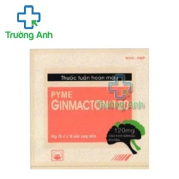 PymeGinmacton 120 Pymepharco - Điều trị hỗ trợ suy tuần hoàn