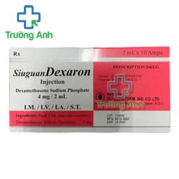 Gintecin Injection 17,5mg/5ml Siu Guan Chem - Tăng cường máu não hiệu quả