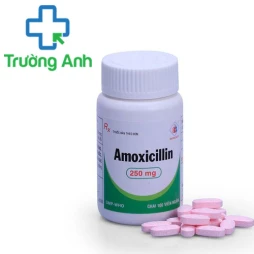 SM.Amoxicillin 250 - Thuốc chống nhiễm khuẩn đường hô hấp