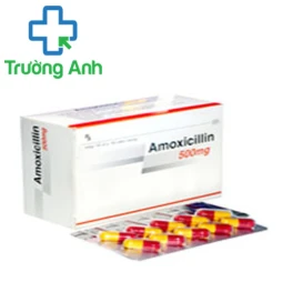 SM.Amoxicillin 500 - Thuốc chống nhiễm khuẩn hiệu quả