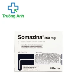 Somazina 500mg/4ml - Điều trị trong giai đoạn chấn thương sọ não