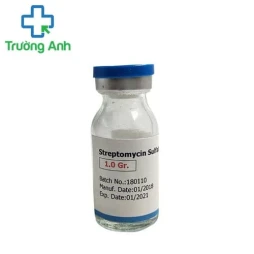 STREPTOMYCIN 1g - Thuốc kháng sinh trị điều trị nhiễm khuẩn