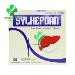 Sylhepgan - Thuốc điều trị bệnh gan hiệu quả của DP Nam Hà