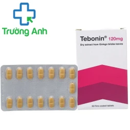 Tebonin - Thuốc điều trị rối loạn tuần hoàn máu não hiệu quả