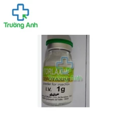 Torlaxime 1g LDP Torlan - Thuốc điều trị nhiễm khuẩn đường tiêm