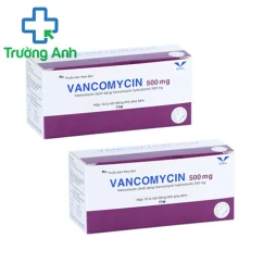 Vancomycin 500mg Bidiphar - Điều trị nhiễm trùng nặng hiệu quả
