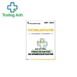 Vicimlastatin 750mg VCP - Thuốc điều trị nhiễm khuẩn hiệu quả