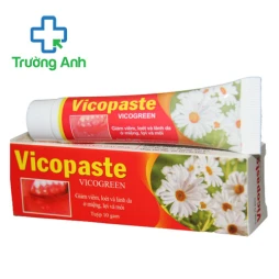 Vicopaste 10g Bibopharma - Gel bôi điều trị các bệnh răng miệng 