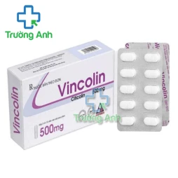 Vincolin 500mg (viên) - Điều trị rối loạn thần kinh, tâm thần