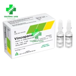 Vincopane 20mg/ml - Thuốc chống co thắt cơ trơn của Vinpharco
