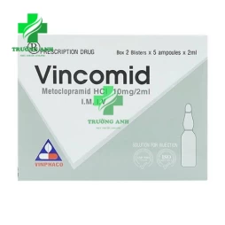 Vingomin 0,2mg/1ml - Thuốc điều trị xuất huyết sản khoa