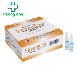 Vitamin B6 25 mg/1ml Vinphaco - Điều trị bệnh thiếu hụt Vitamin B6
