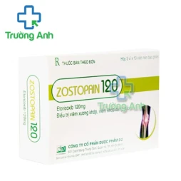 ZOSTOPAIN 120 FT-PHARMA - Thuốc điều trị viêm xương khớp